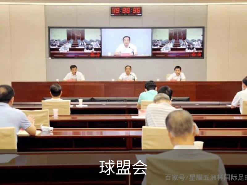 球盟会概况